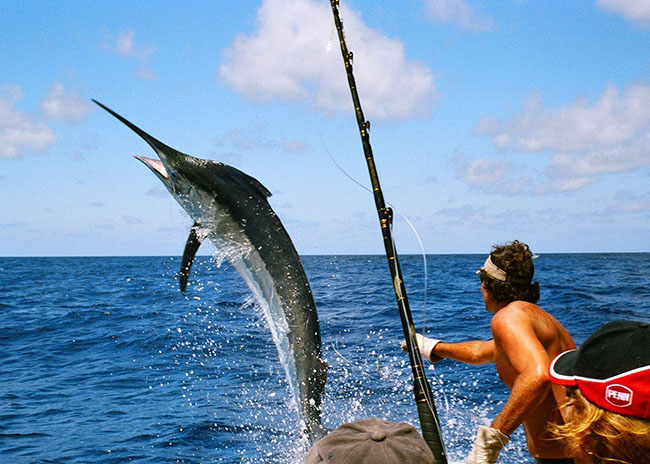 1 Cozumel Deep Sea Fishing Trip in 2023: Book from $395